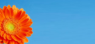 濟寧天工礦山設備有限公司